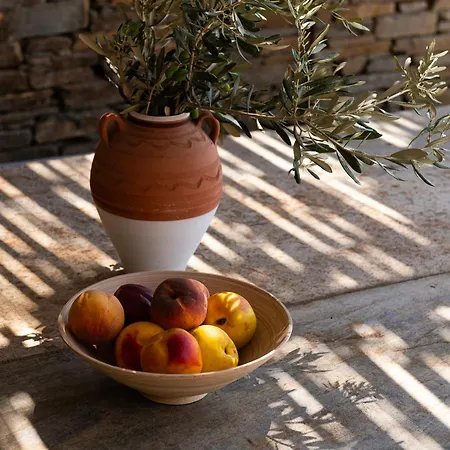 Andros Serenity Retreat - Adults Only * Επισκοπειό